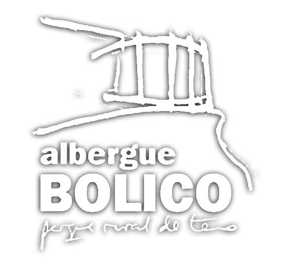 Inicio logotipo_bolico 